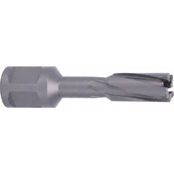 !!!! ABSE N-CA-W19-0110035
