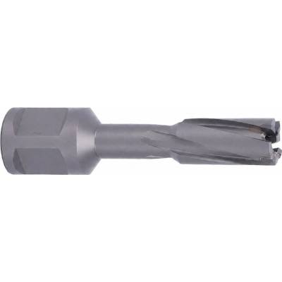 !!!! ABSE N-CA-W19-0110035