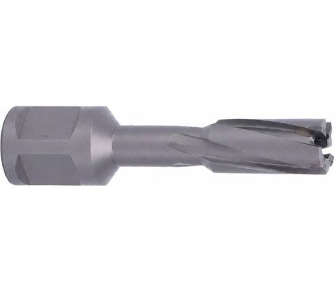 ABSE N-CA-W19-0110035