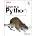 Learning Python