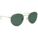 Ray-Ban Round Reverse RBR0103S 001/VR