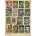 Cobble Hill - Puzzle The Nature of Books - 1 000 piese