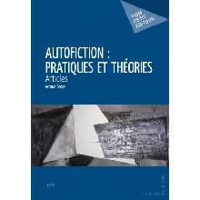 Autofiction Pratiques Et Theories