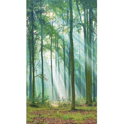 ML6301 Vliesová fototapeta na stenu rozmery 1,59x2,8 m