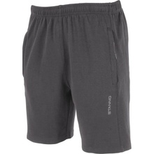 Stanno Base Sweat Shorts šedá