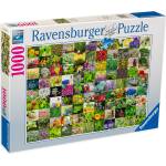 Ravensburger Пъзел Ravensburger от 1000 части - Билки и подправки 2 (15991)