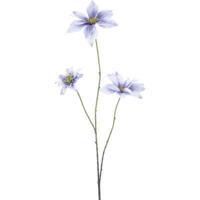 Plamének Clematis Jewl levandulový 89 cm