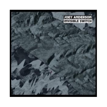 Joey anderson - INVISIBLE SWITCH (fdca088f-dd0a-4234-97a8-98e8f4d6e42e)