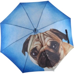 Doppler Modern Art Lazy Dog