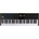 Arturia KeyLab 61 mk3