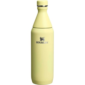 STANLEY Термо бутилка All Day Slim - 0.6L (10-12069-119)