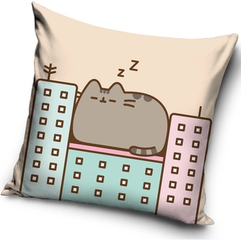 Carbotex Pelech mačičky Pusheen 40 x 40 cm