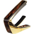 Thalia Shell Collection
