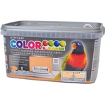 Kittfort Colorline® Интериорна боя за стени и тавани 4кг ЗЛАТЕН ПЯСЪК (8247272-К)