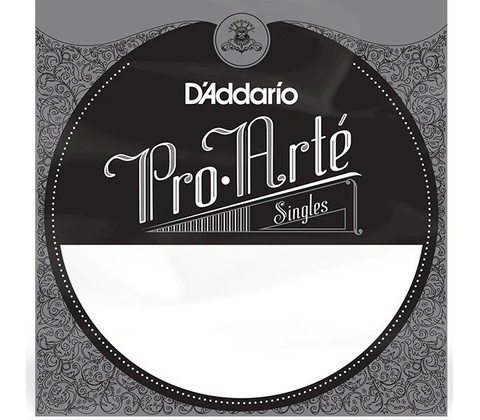 D'Addario J 4505