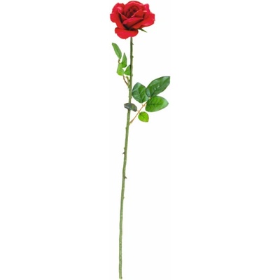 Růže, 65 cm