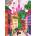Pieces & Peace - Puzzle Mexico - 500 piese