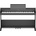 Roland RP107