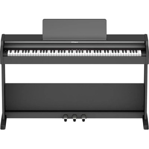 Roland RP107