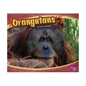 Orangutans | Lyn A. Sirota (ISBN: 9781429648486)