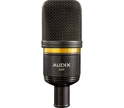 Audix A231