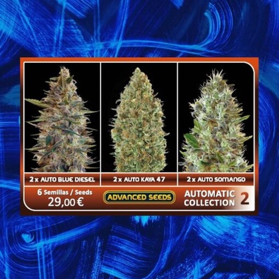 Advanced Seeds Automatic Collection #2 semienka neobsahujú THC 6 ks