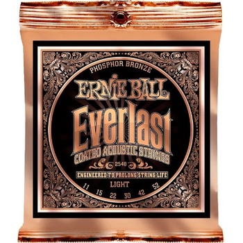Ernie Ball 2548