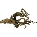 Lucky Reptile Grapevine Premium 60–100 cm