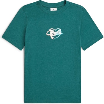 O'Neill Детска тениска O'Neill Kid's Script T-Shirt - Botanical Heat - размер 164 (EU) (704-6070-0115)