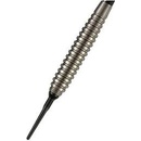 Target Power Silverlight Phil Taylor 18 g