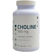 NutriWorks Choline 500mg 90 kapslí