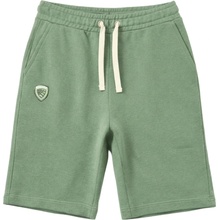 Blauer USA Summer Green