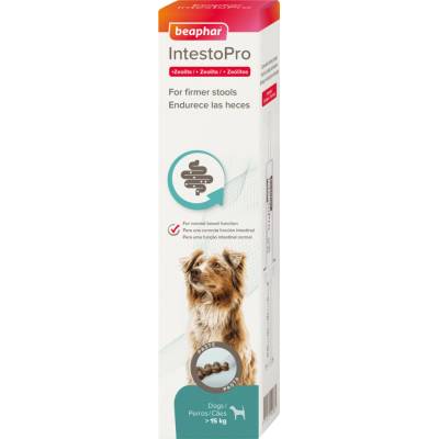 Beaphar IntestoPro L pasta pre veľkých psov 2 x 20 ml