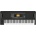 KORG EK-50