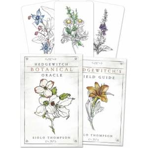 Hedgewitch Botanical Oracle (ISBN: 9780738757537)