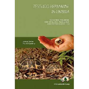 Testudo Hermanni in Umbria | Lorenzo Santoni (ISBN: 9781847991010)