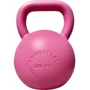 TRUESTEEL ocel 4 kg