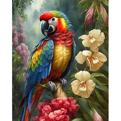 NORIMPEX Diamantové malování Papoušek Ara 30 x 40 cm – Sleviste.cz