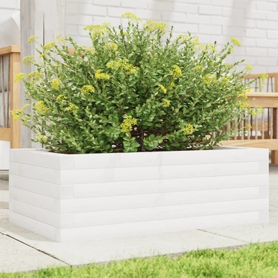 vidaXL truhlík 70 x 40 x 23 cm masivní borové dřevo Bílá