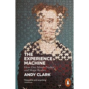 The Experience Machine (ISBN: 9780141990583)