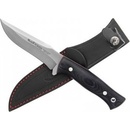 Muela Pointer 12M
