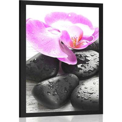 Plakát krásná souhra kamenů a orchideje - 30x45 no frame