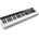 IK Multimedia iRig Keys 49