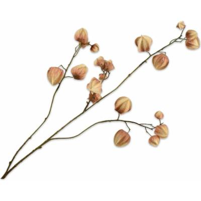 Silk-ka Machovka (Physalis) – svetlohnedá dekoratívna vetvička, 92 cm