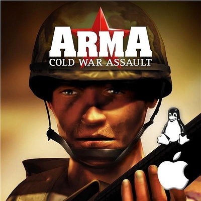 Arma: Cold War Assault