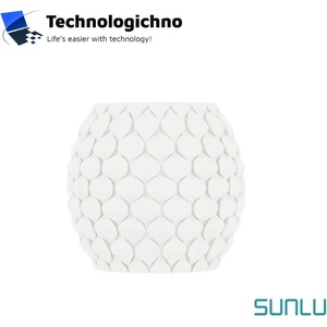 SUNLU PETG 3D Sunlu White With Spool (DLZ-EU-SL-PETG-WT-1KG)