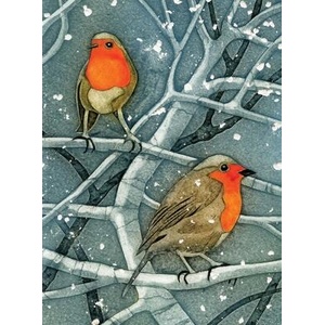 Wild Birds Pocket Notebook: Robin (ISBN: 9781780279367)