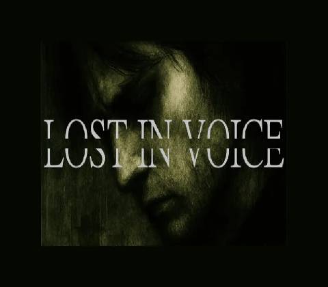 Lost in Voice