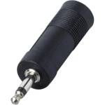 Bespeco AD125