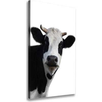 Vertikálny foto obraz canvas Fľakatá krava 50x100 cm